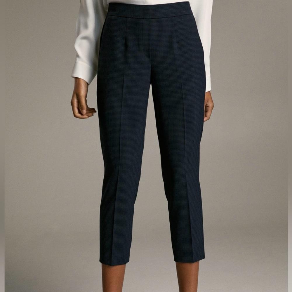 Aritzia Babaton Conan Cropped Check Pant Black/Blue